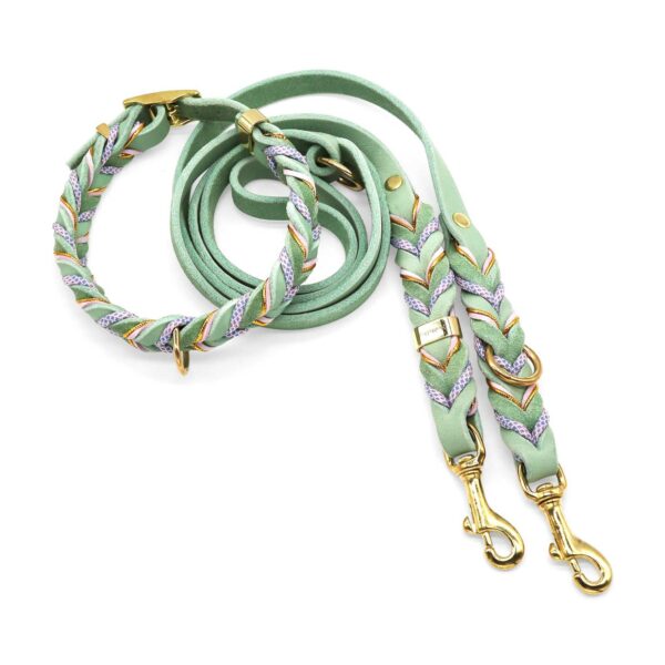 HealthyDog Lederhalsband und Lederleine "Aura"