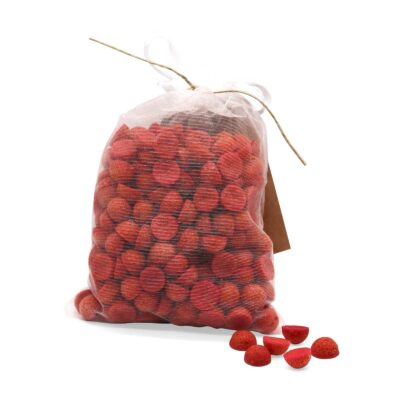 HealthyDog Kau-WauWau "Rando Cheesli"