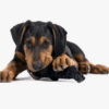 HealthyDog LABONI Kater Casanova