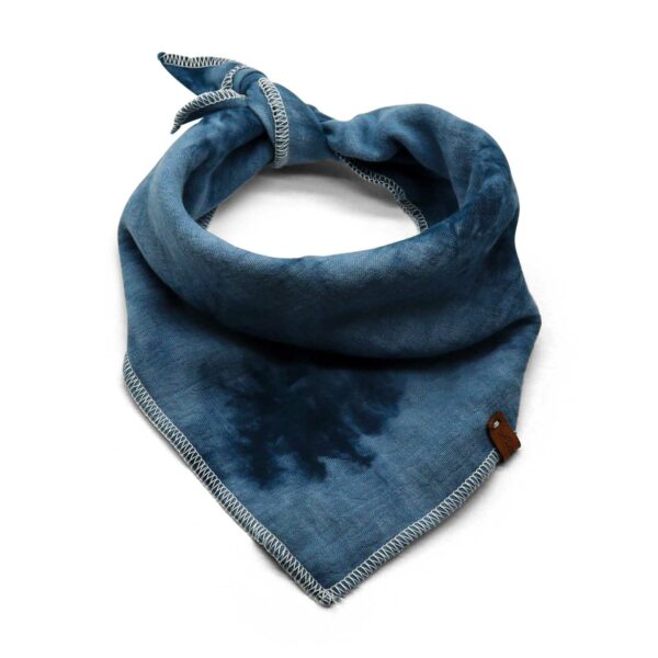 HealthyDog Lieblingspfote Hunde Bandana Halstuch Baltik blau