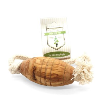 HealthyDog Olivi Dog Toy Rugby