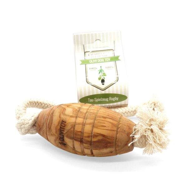 HealthyDog Olivi Dog Toy Rugby