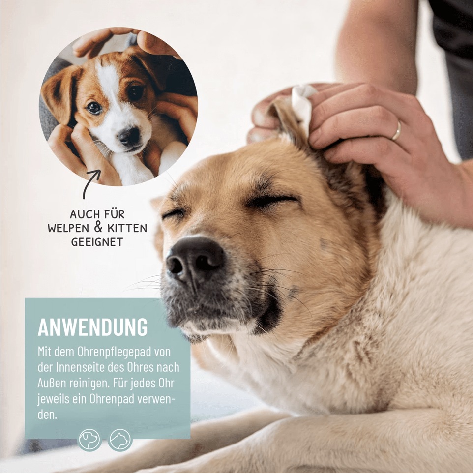 HealthyDog ReaVet Ohrenpflege