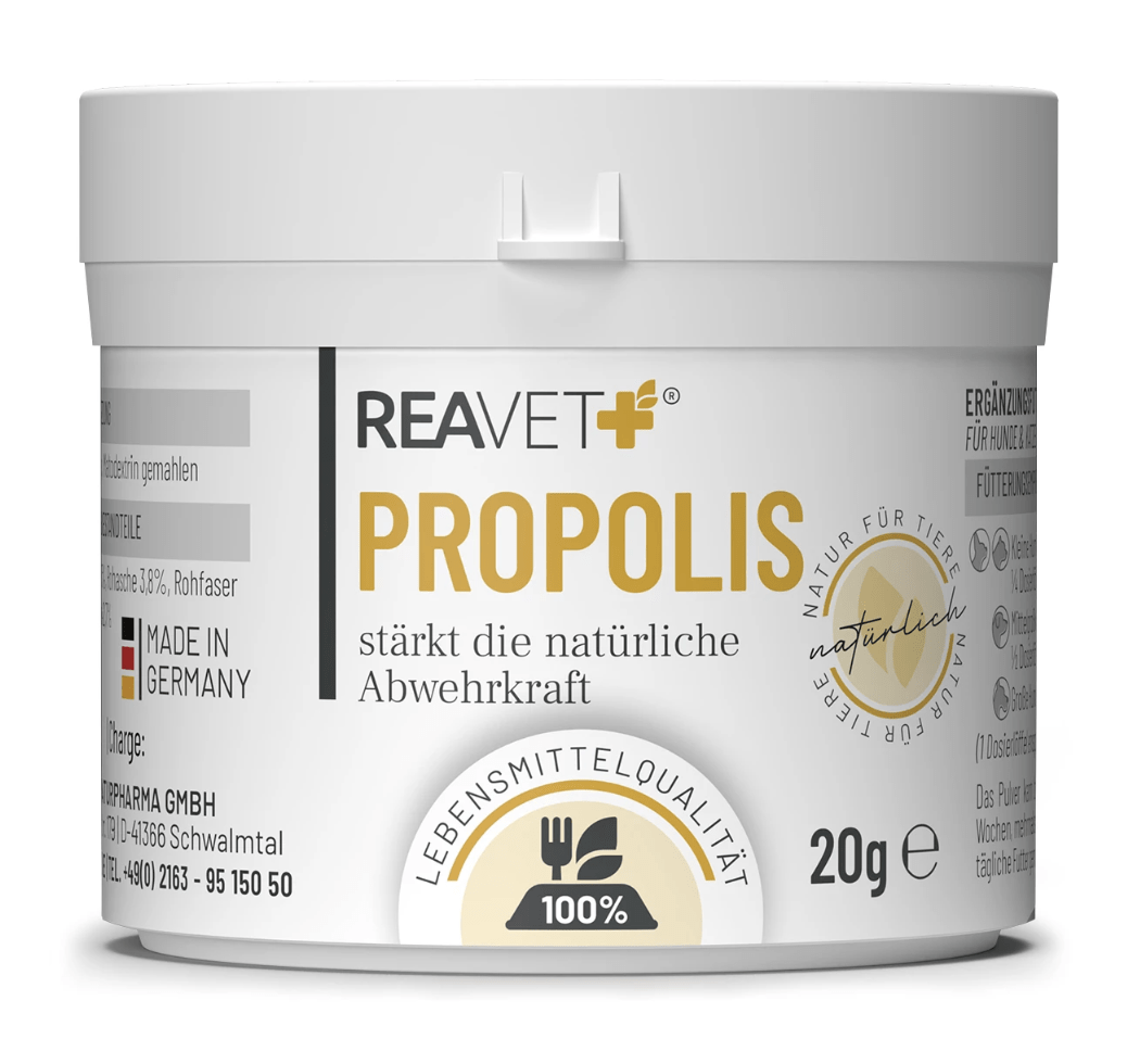 HealthyDog ReaVet Propolis