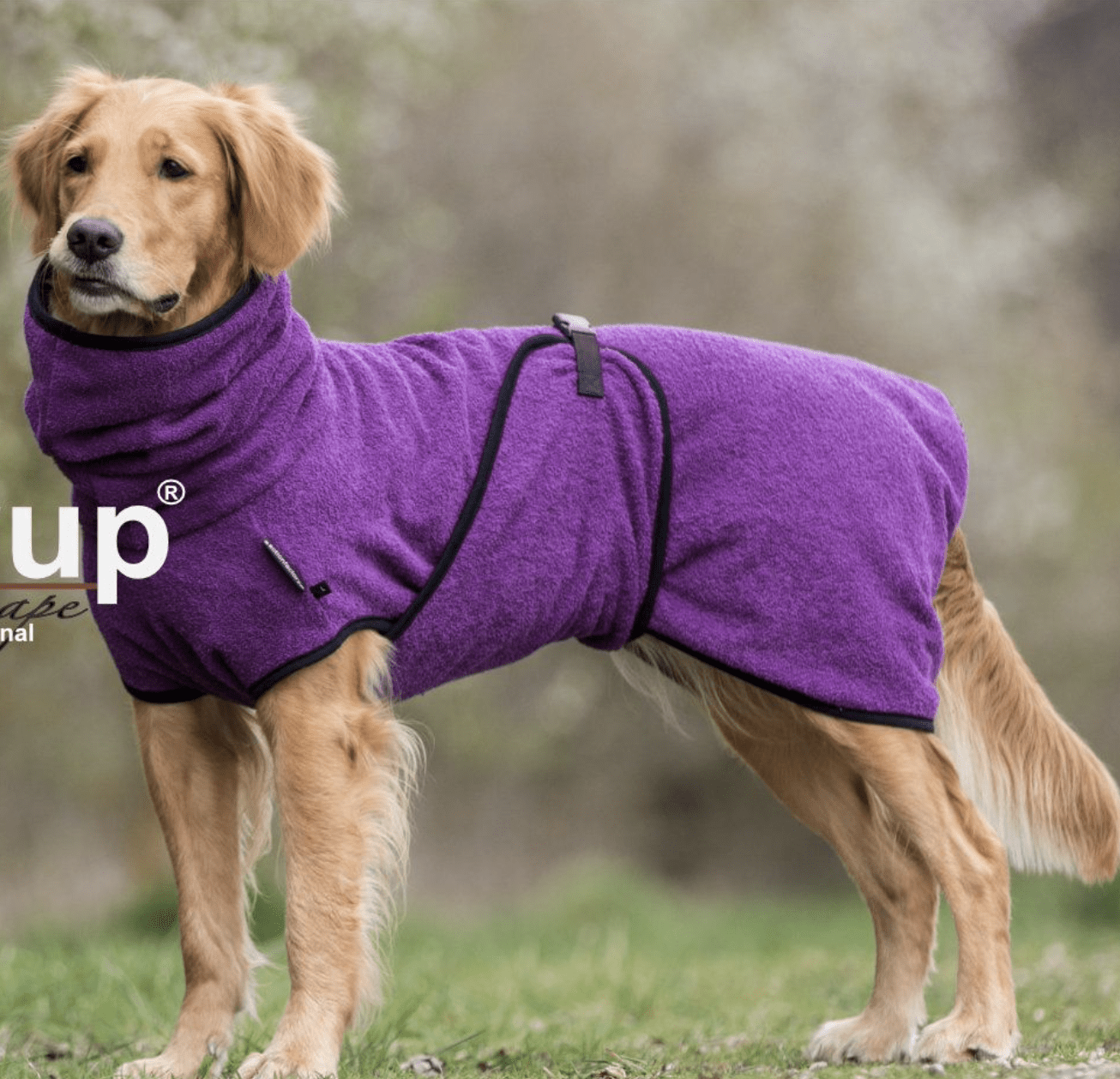 HealthyDog actionfactory dryup cape bilberry