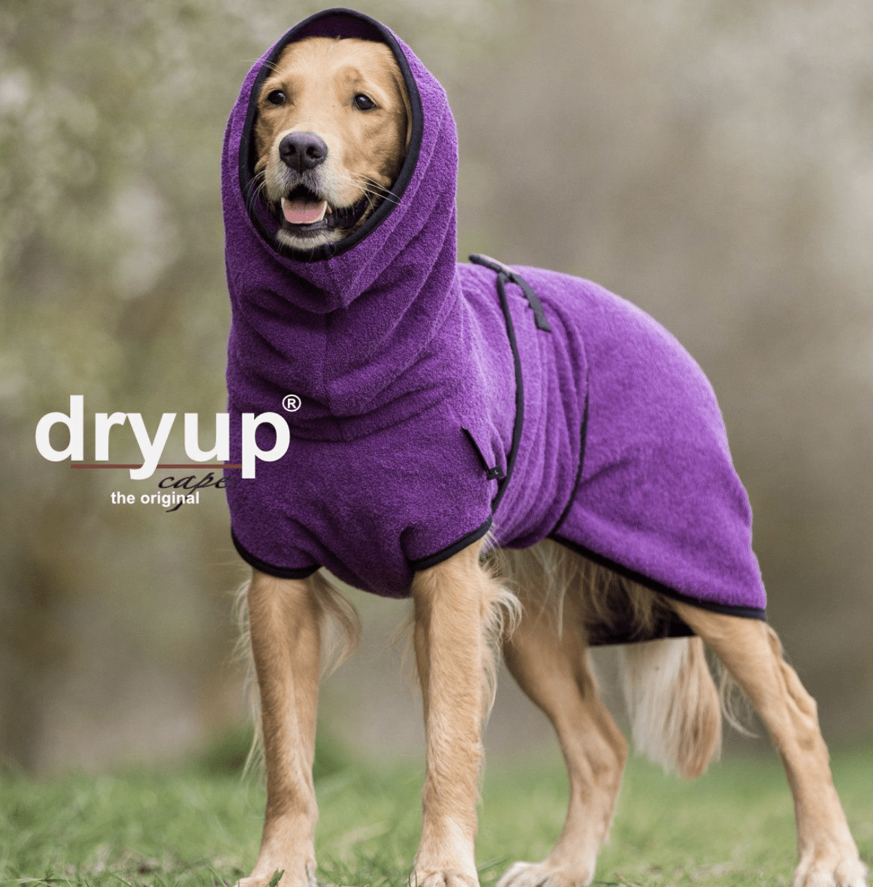 HealthyDog actionfactory dryup cape bilberry
