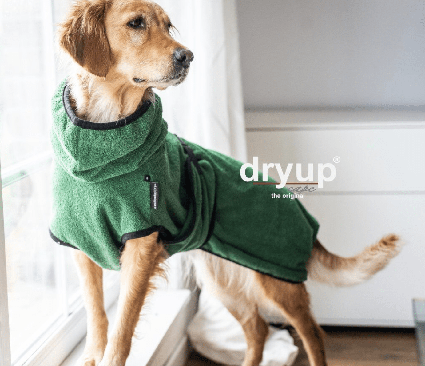 HealthyDog actionfactory dryup cape dark green