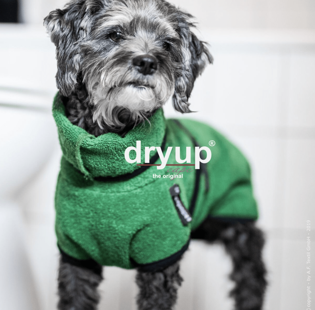 HealthyDog actionfactory dryup cape dark green