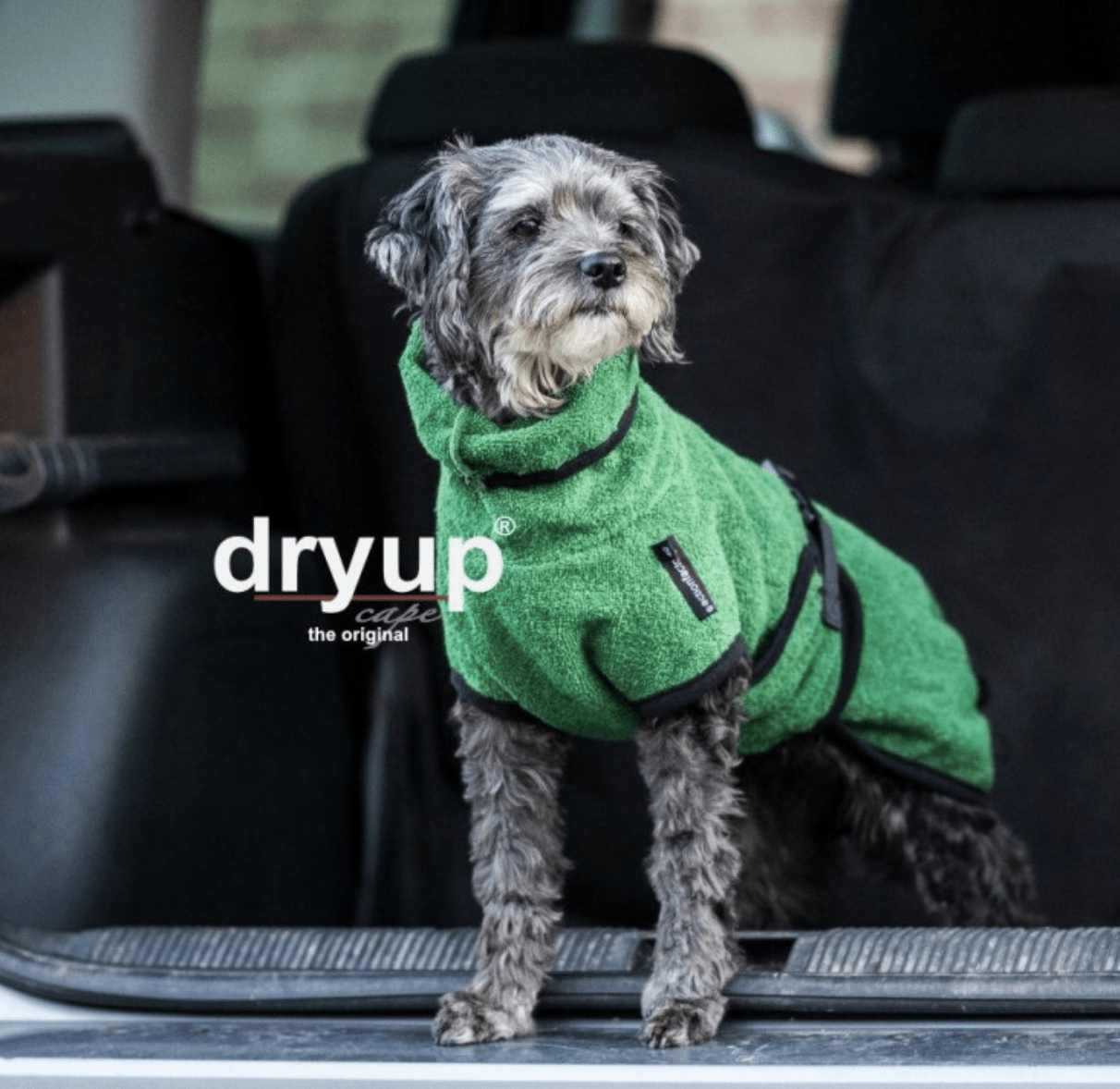 HealthyDog actionfactory dryup cape dark green