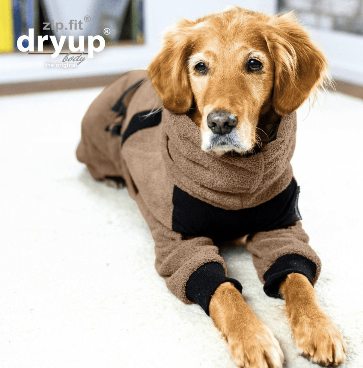 HealthyDog actionfactory dryup body zip.fit coffee