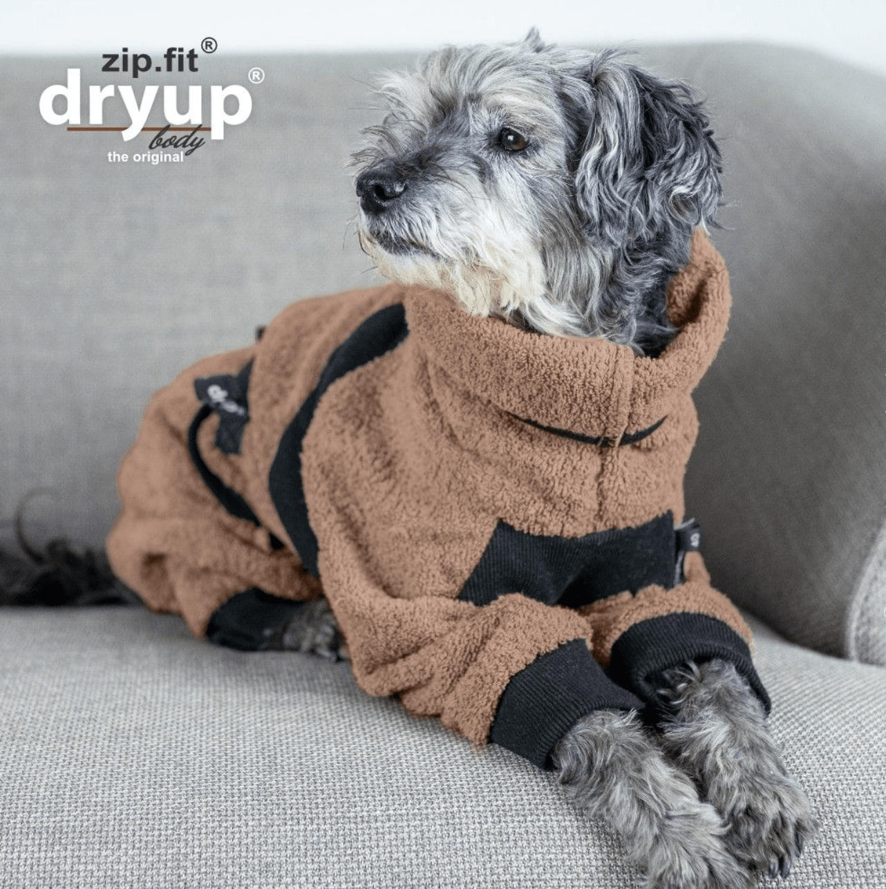 HealthyDog actionfactory dryup body zip.fit coffee