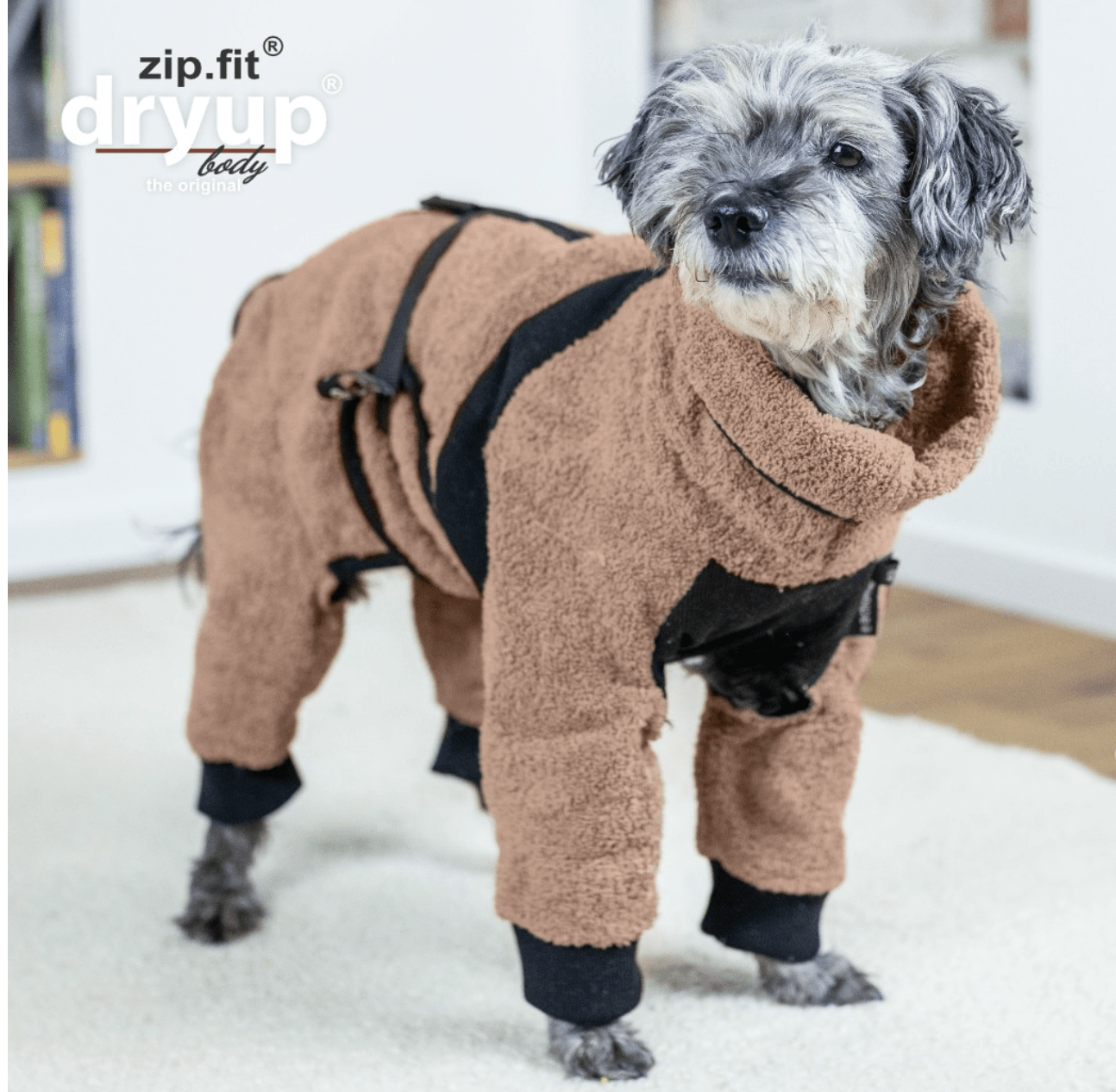 HealthyDog actionfactory dryup body zip.fit coffee