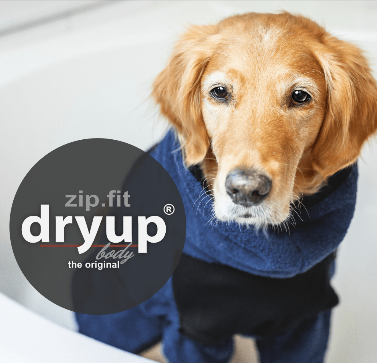 HealthyDog actionfactory dryup body zip.fit marine