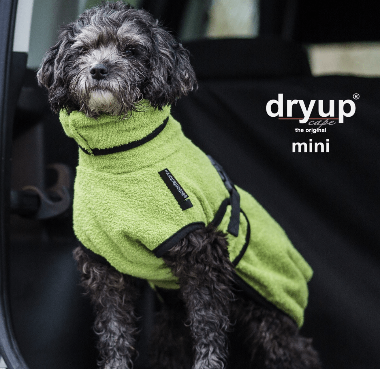 HealthyDog actionfactory dryup cape kiwi