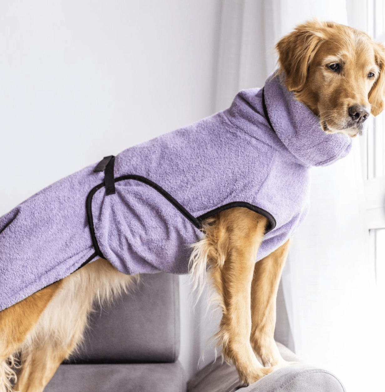 HealthyDog actionfactory dryup cape lavendel