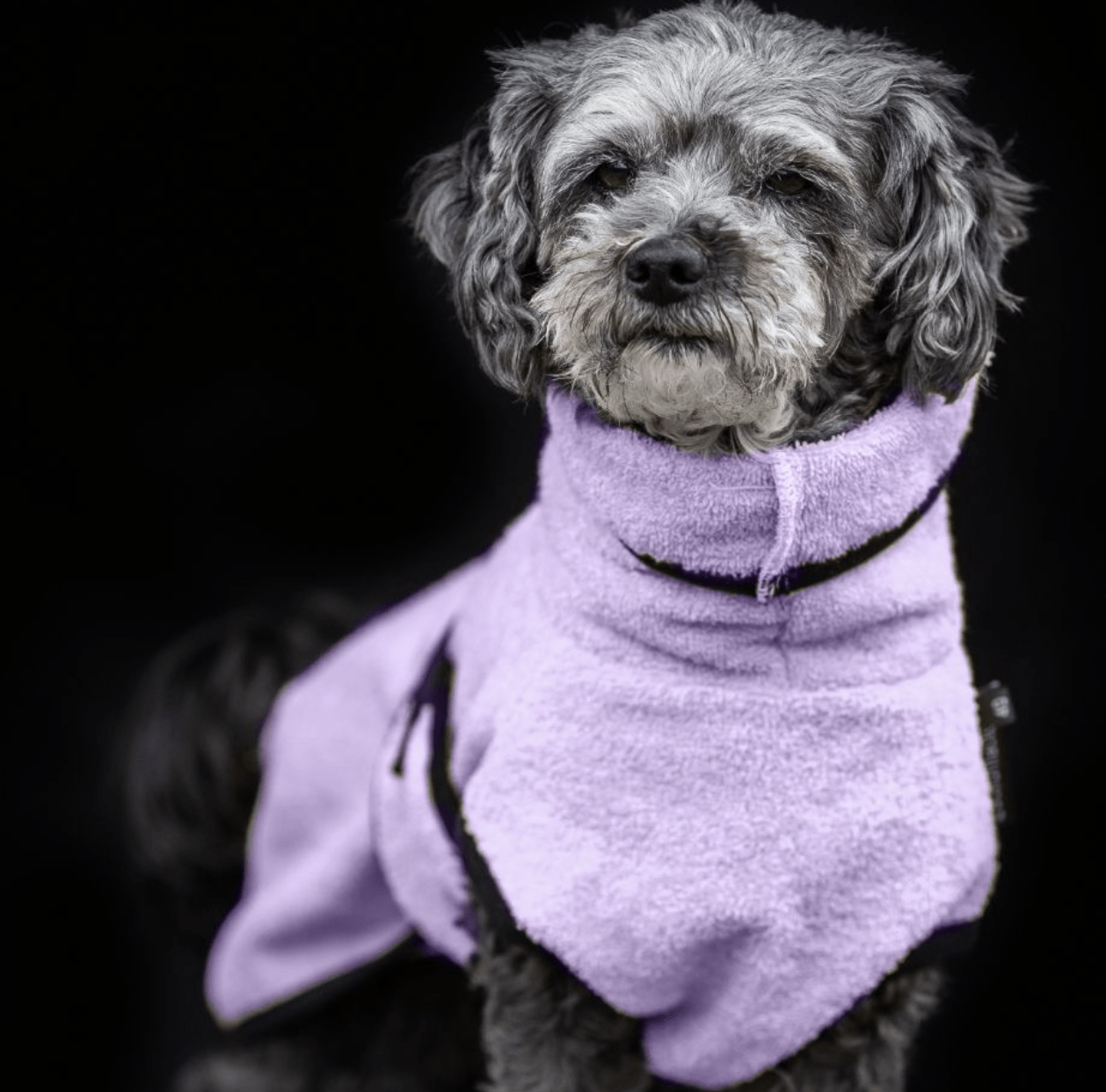 HealthyDog actionfactory dryup cape lavendel