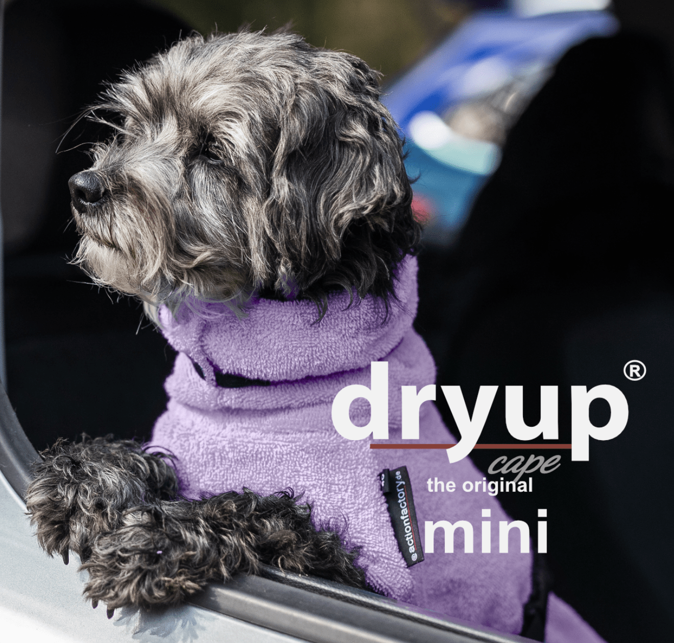 HealthyDog actionfactory dryup cape lavendel
