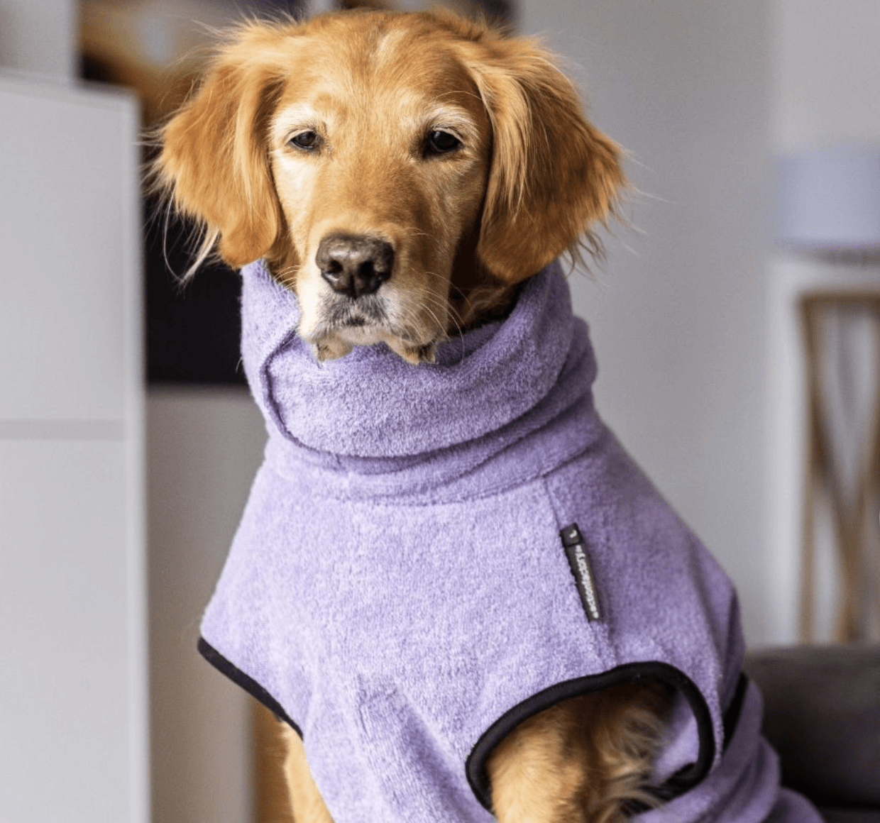 HealthyDog actionfactory dryup cape lavendel