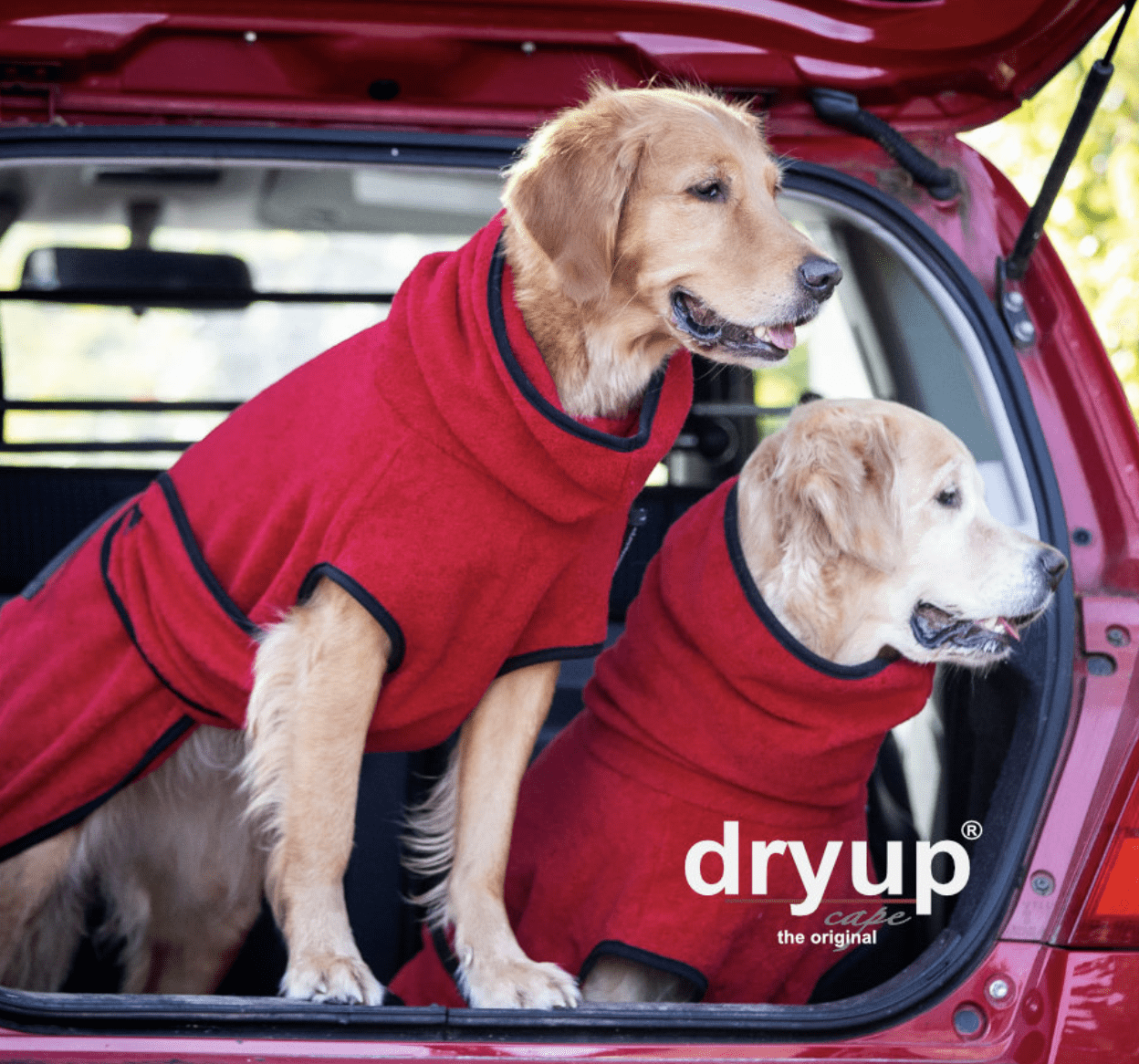 HealthyDog actionfactory dryup cape red pepper