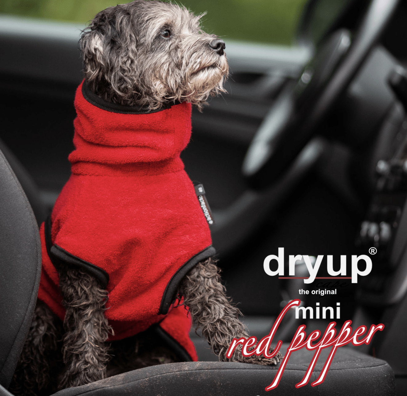 HealthyDog actionfactory dryup cape red pepper