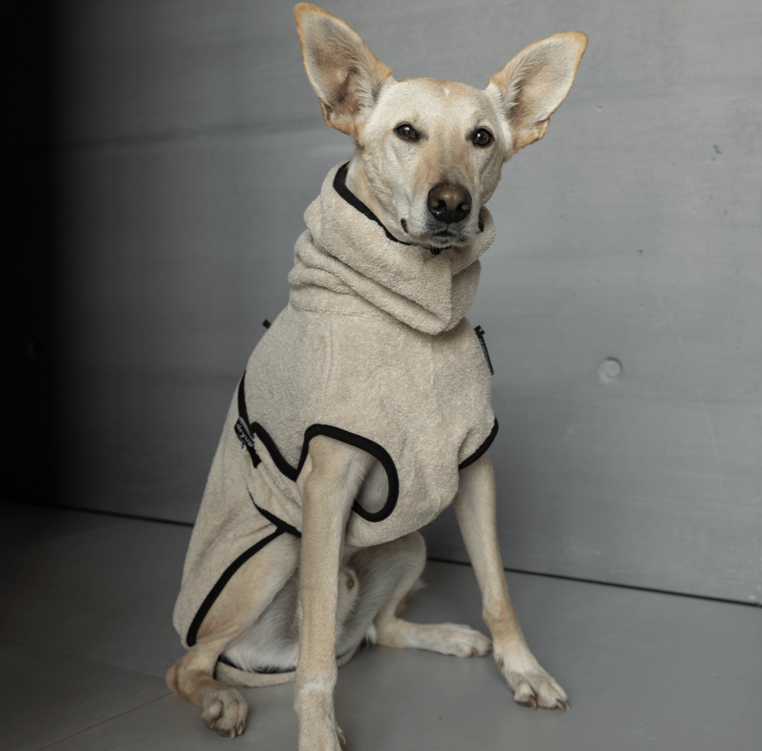 HealthyDog actionfactory dryup cape sand