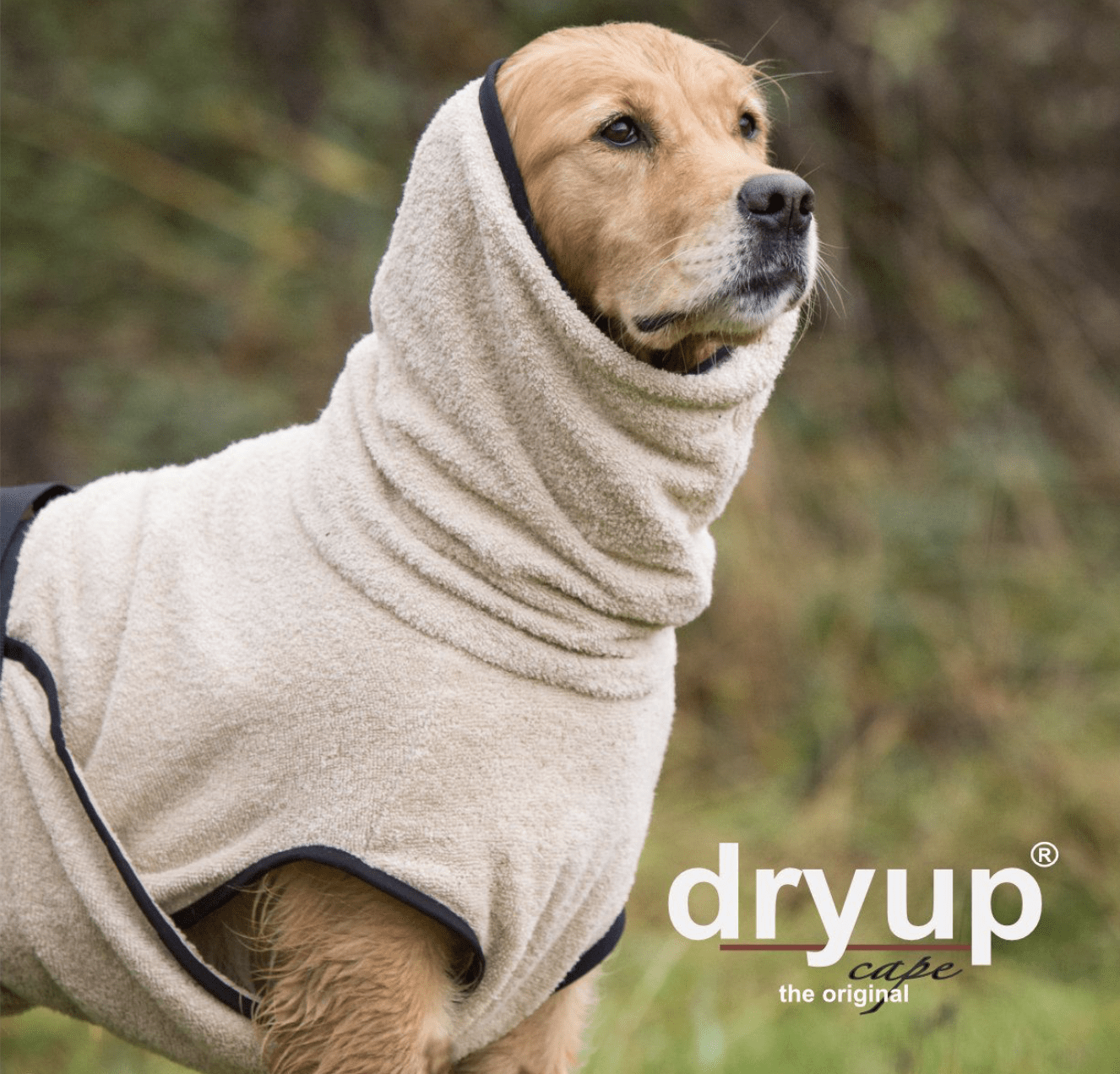 HealthyDog actionfactory dryup cape sand