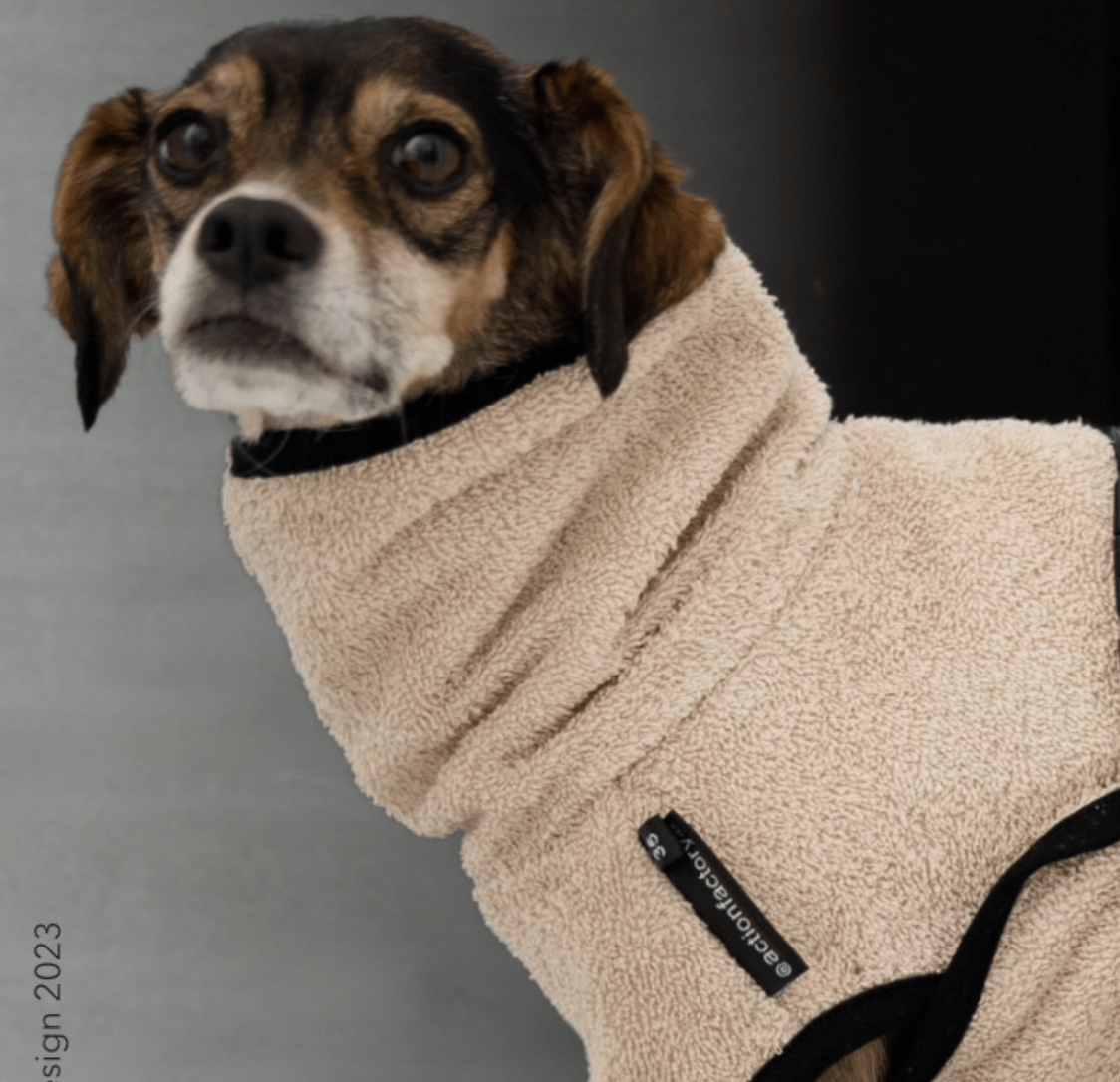 HealthyDog actionfactory dryup cape sand