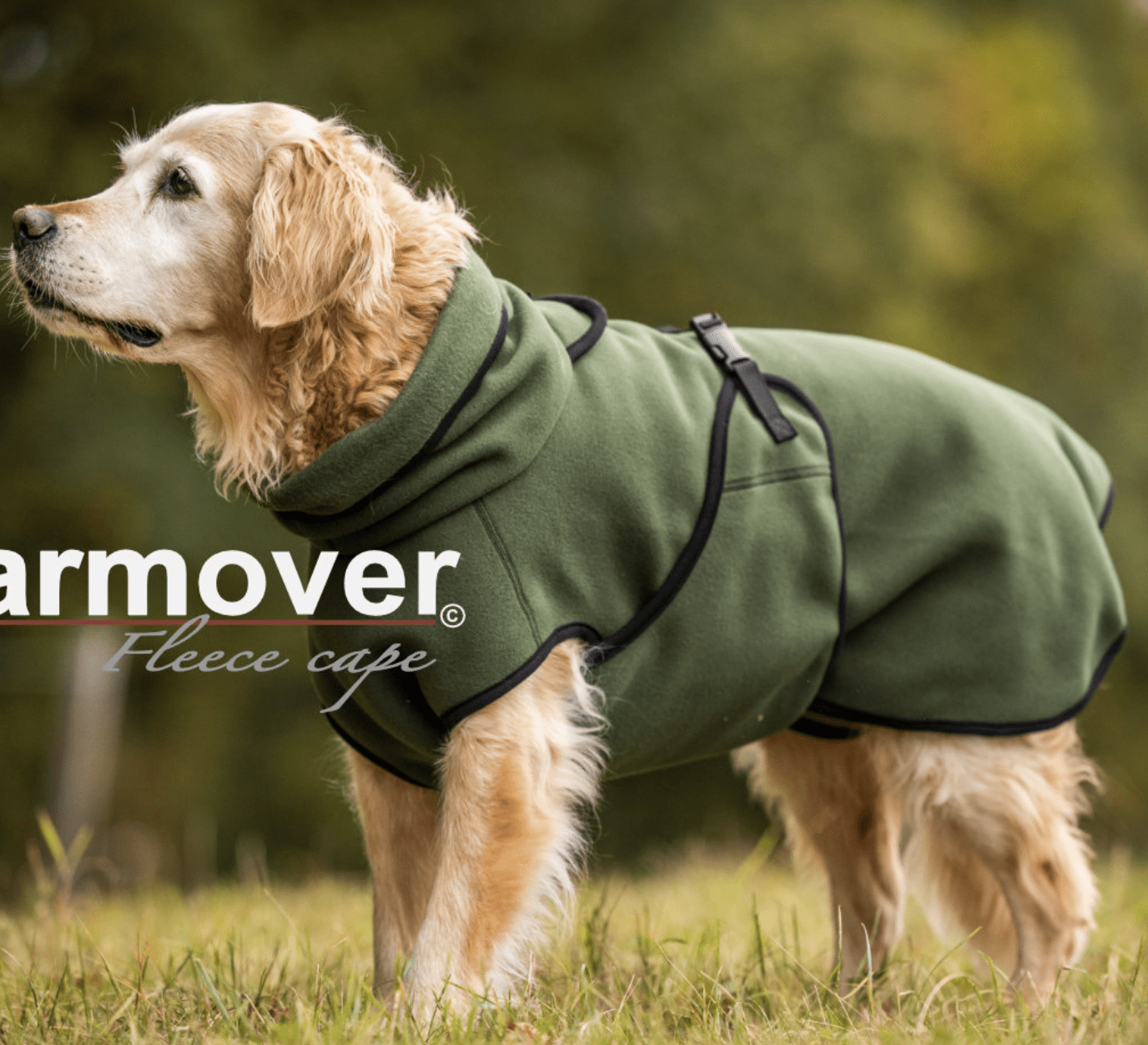 HealthyDog actionfactory warmover fleece cape pine green