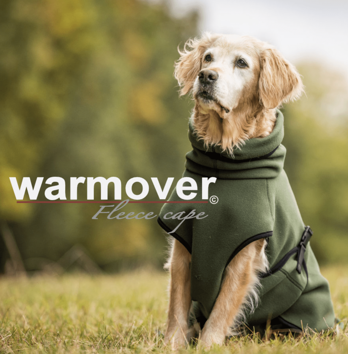 HealthyDog actionfactory warmover fleece cape pine green