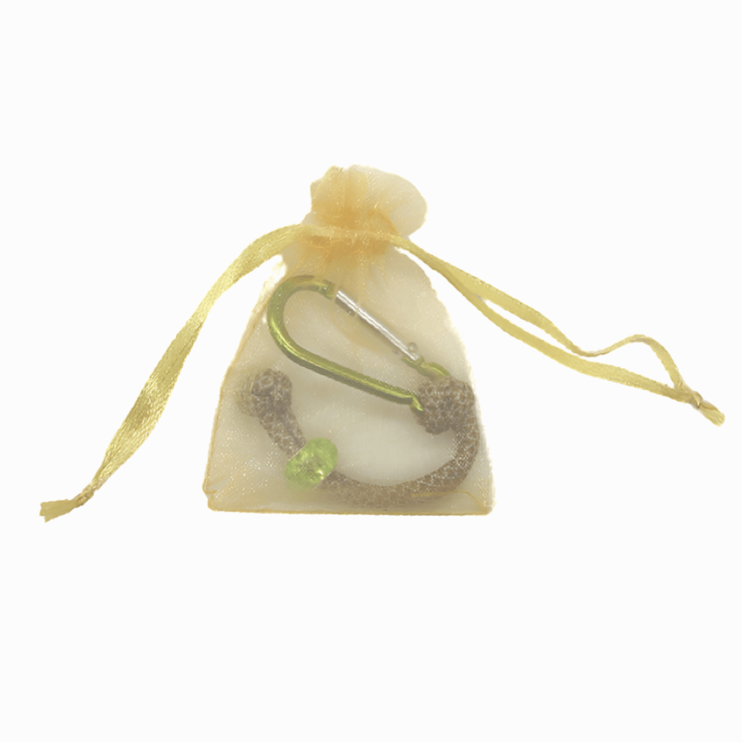 HealthyDog Kotbeutelhalter "Pepe"