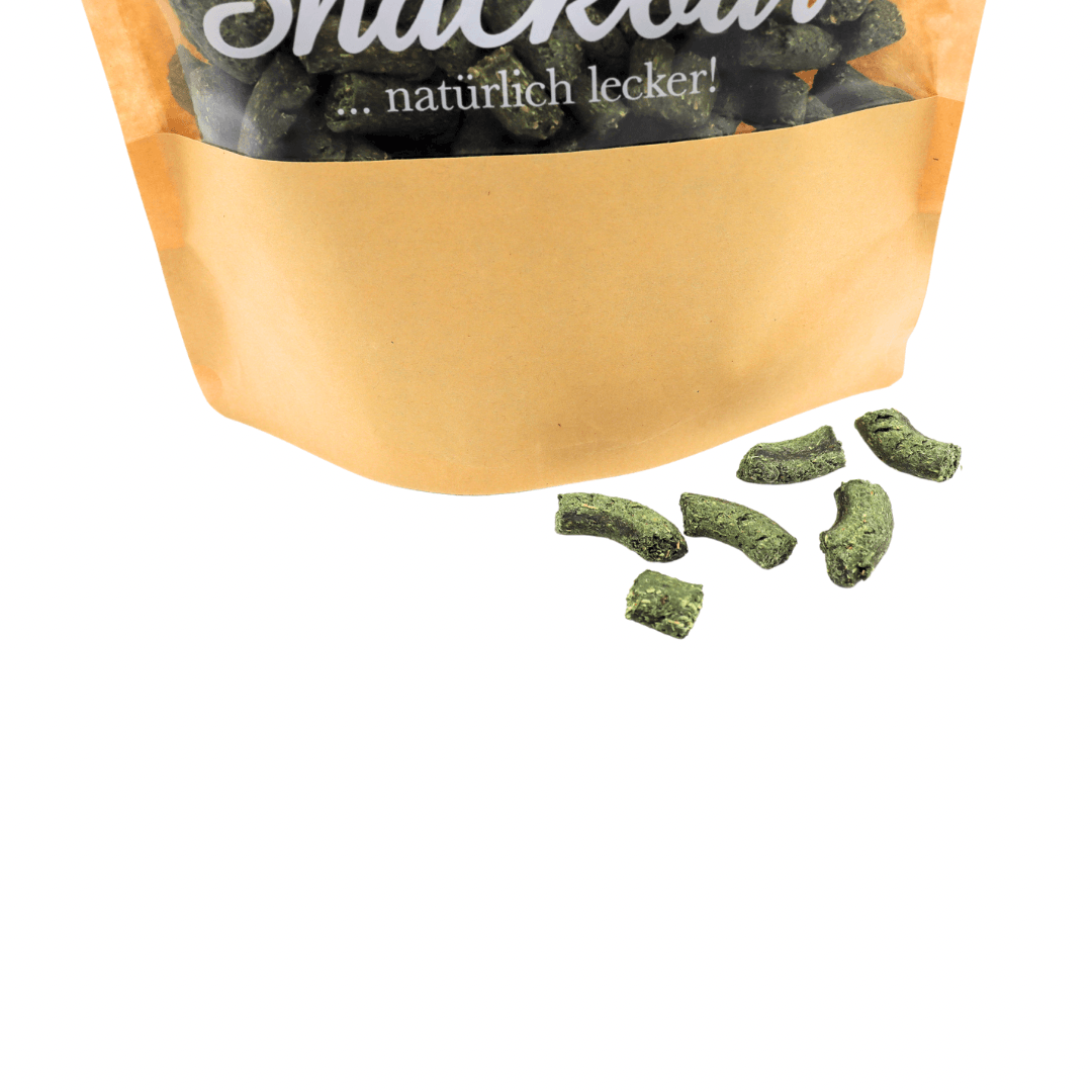 HealthyDog Canadoo Trainingssnack Spirulina