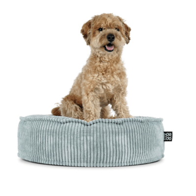 HealthyDog padsforall Hundekissen Mio Cord