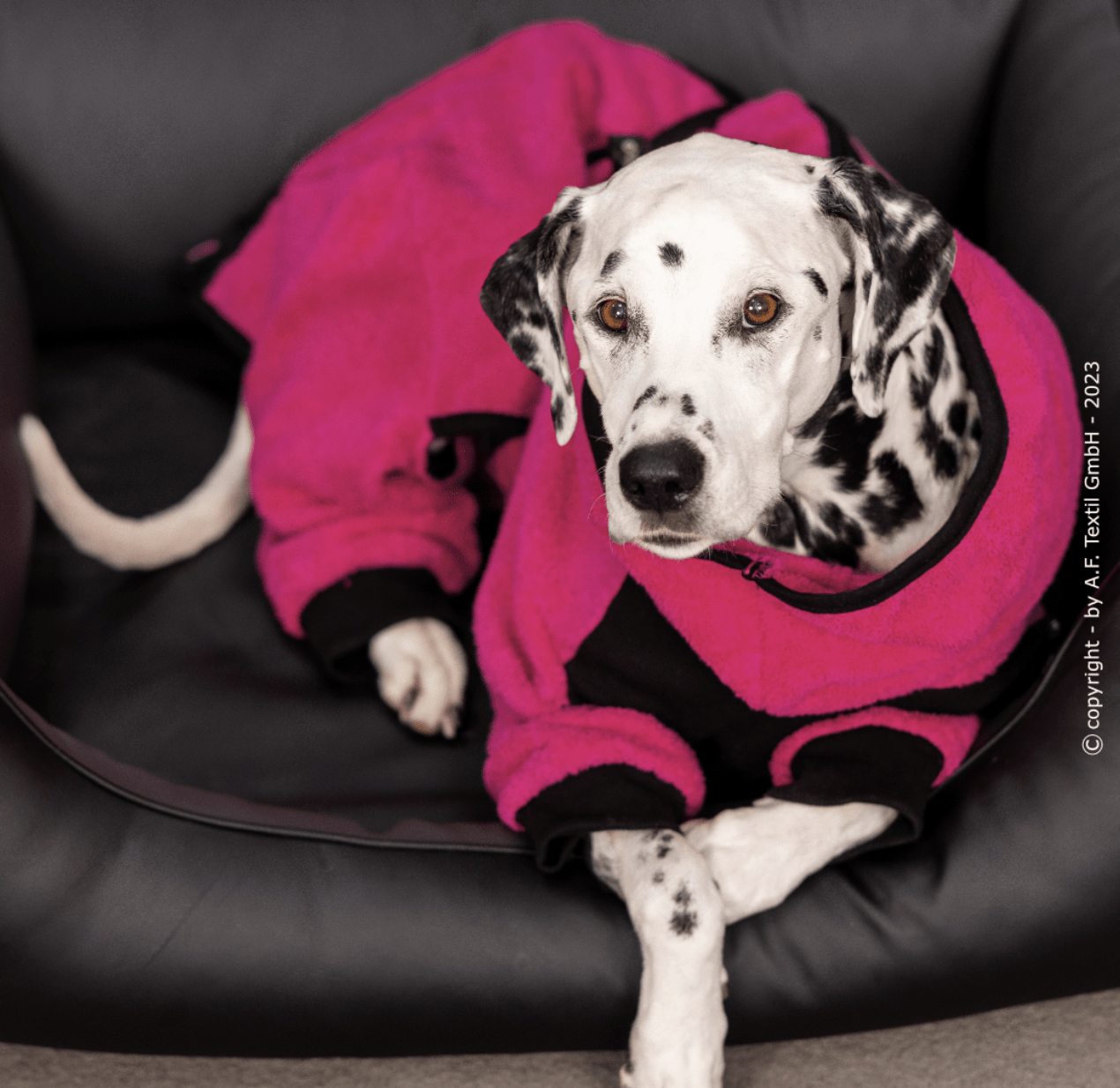 HealthyDog actionfactory dryup body zip.fit pink