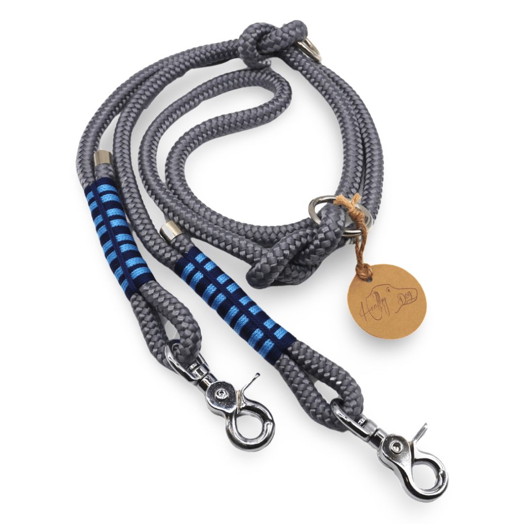 HealthyDog Leine Einzelstück