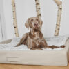 HealthyDog ammi for Dogs orthopädisches Hundebett Kunstleder schlamm