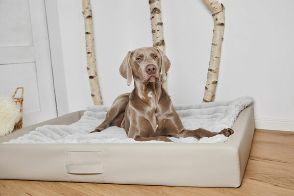 HealthyDog ammi for Dogs orthopädisches Hundebett Kunstleder schlamm