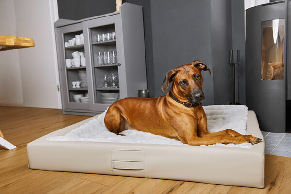 HealthyDog ammi for Dogs orthopädisches Hundebett Kunstleder schlamm