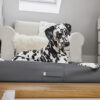 HealthyDog ammi for Dogs orthopädisches Hundebett Kunstleder anthrazit