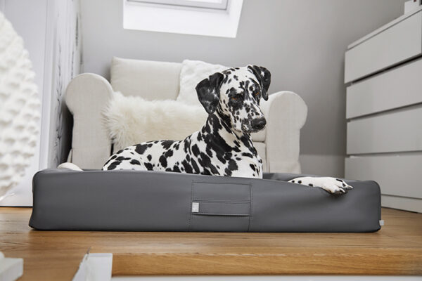 HealthyDog ammi for Dogs orthopädisches Hundebett Kunstleder anthrazit