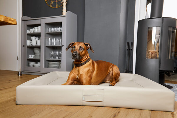 HealthyDog ammi for Dogs orthopädisches Hundebett Kunstleder schlamm