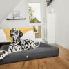 HealthyDog ammi for Dogs orthopädisches Hundebett Kunstleder anthrazit