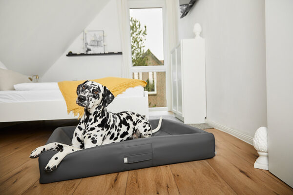 HealthyDog ammi for Dogs orthopädisches Hundebett Kunstleder anthrazit