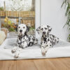 HealthyDog ammi for Dogs Liegekissen Plaid grau