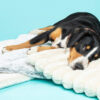 HealthyDog ammi for Dogs Liegekissen Plaid soft und hermelin