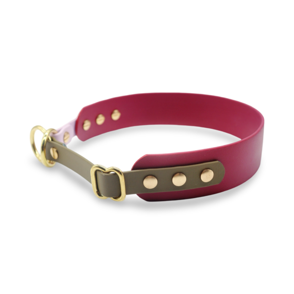 HealthyDog x KAHU Pawfect Match Hundehalsband Biothane "wine"