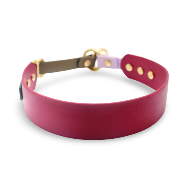 HealthyDog x KAHU Pawfect Match Hundehalsband Biothane "wine"