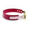HealthyDog x KAHU Pawfect Match Hundehalsband Biothane "wine"