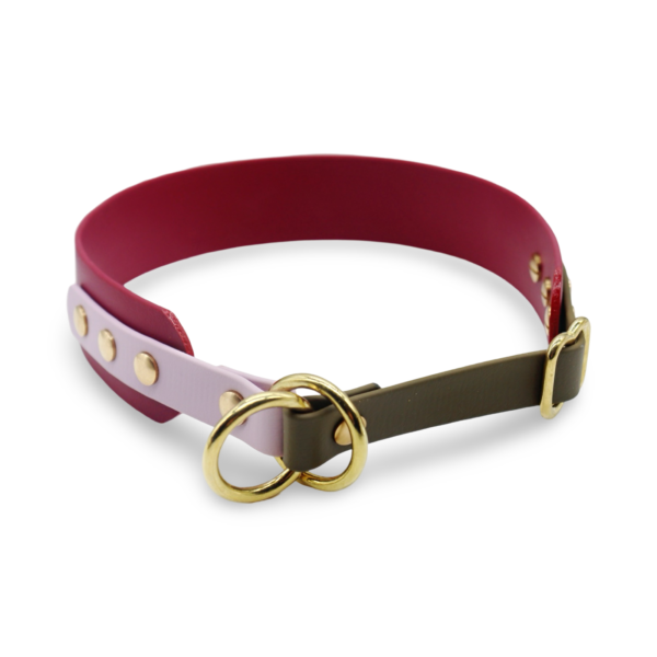 HealthyDog x KAHU Pawfect Match Hundehalsband Biothane "wine"