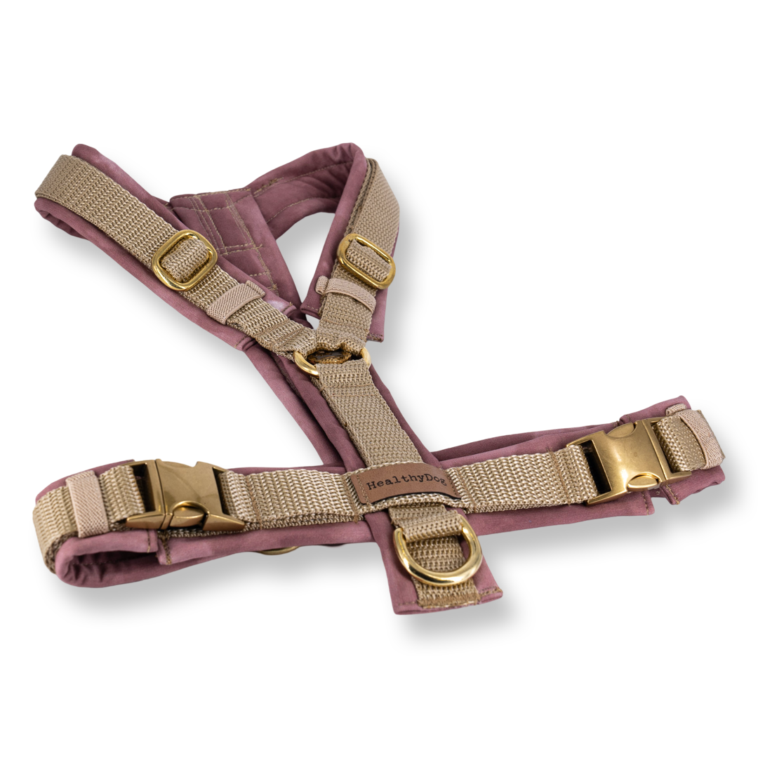 healthydog_hundegeschirr_rosa HealthyDog Hundegeschirr rosa