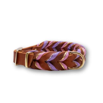 HealthyDog Lederhalsband "Pabbles"